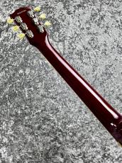 Edwards E-LP-100 QM /SD 'SeeThroughRed【2013'sUSED】_6