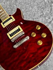 Edwards E-LP-100 QM /SD 'SeeThroughRed【2013'sUSED】_9