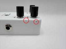 Animals Pedal Relaxing Walrus Delay_4
