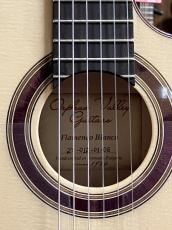 Orpheus Valley Guitars Flamenco Blanca_11