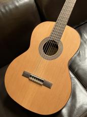 Orpheus Valley Guitars Fiesta F65C_3