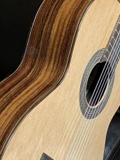 Orpheus Valley Guitars Fiesta F65C_5