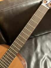 Orpheus Valley Guitars Fiesta F65C_7