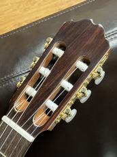 Orpheus Valley Guitars Fiesta F65C_9
