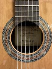 Orpheus Valley Guitars Fiesta F65C_11