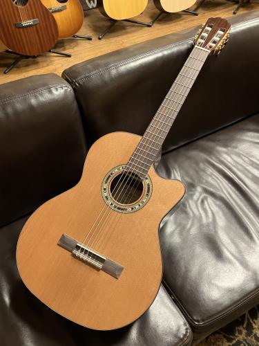 Orpheus Valley Guitars Verea w / truss rod