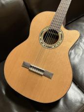 Orpheus Valley Guitars Verea w / truss rod_3