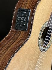 Orpheus Valley Guitars Verea w / truss rod_5