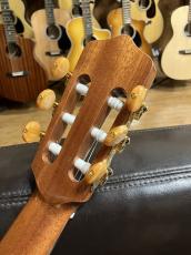 Orpheus Valley Guitars Rosa Luna CW_10