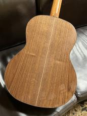 Orpheus Valley Guitars Rondo RS_4