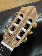 Orpheus Valley Guitars Rondo RS_9