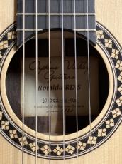 Orpheus Valley Guitars Romida RD-S_11