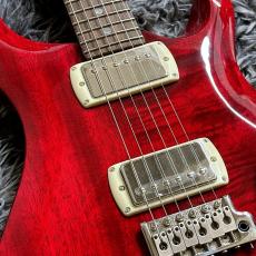 Paul Reed Smith [PRS] SE DGT Standard Vintage Cherry 【中古】【美品】【2025年製】_4