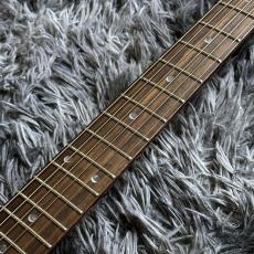 Paul Reed Smith [PRS] SE DGT Standard Vintage Cherry 【中古】【美品】【2025年製】_5
