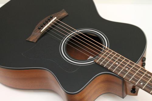 Taylor 114ce Blacktop Japan Limited 【100本限定】