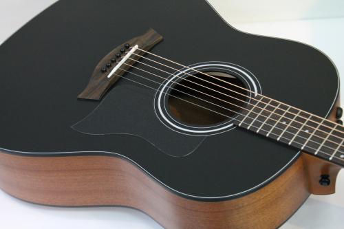 Taylor 117e Japan Limited Blacktop 【日本限定30本】