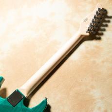 dragonfly CL-HST HSH ASH/MAP TUQ/WP4【USED】_6