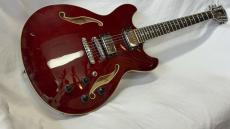Ibanez AS73 TCR_3