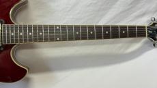 Ibanez AS73 TCR_4