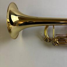 BRILLER Glitter L 【未調整特価】_6