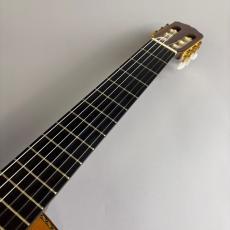 Takamine TGL8-4C_3