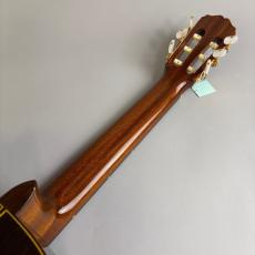 Takamine TGL8-4C_7