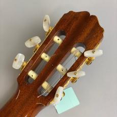 Takamine TGL8-4C_8