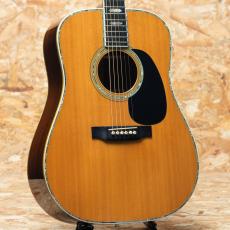 Martin D-45 1979