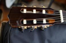 ARIA 　A-35SCE 【　スプルース単板 / マホガニー 】【エレガット】 アリア A35SCE _7