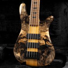 Spector Custom Shop NS-5 Buckeye Burl/Flame Maple