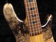Spector Custom Shop NS-5 Buckeye Burl/Flame Maple_4