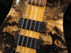 Spector Custom Shop NS-5 Buckeye Burl/Flame Maple_5