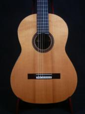 Hernandez y Aguado 松/ハカランダ単板　極上器