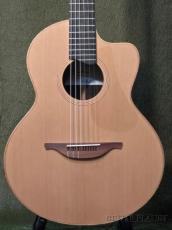 Lowden ～The Jazz Series～ S-25J w/L.R.Baggs Session VTC #28603【48回迄金利0%対象】_3