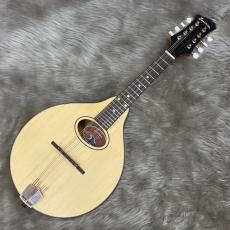 Eastman PCH-M104_2
