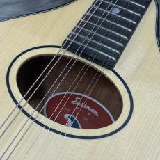 Eastman PCH-M104_4
