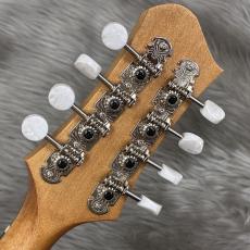 Eastman PCH-M104_6