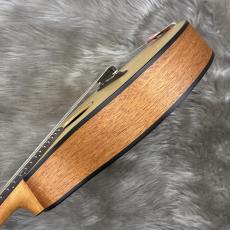 Eastman PCH-M104_7