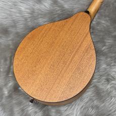 Eastman PCH-M104_8