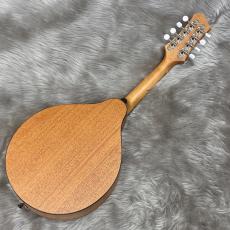 Eastman PCH-M104_9