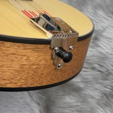 Eastman PCH-M104_10