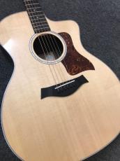 Taylor 214ce Rosewood DLX_4