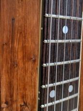 KAMINARI GUITARS Swinger'69 K-SW1_5
