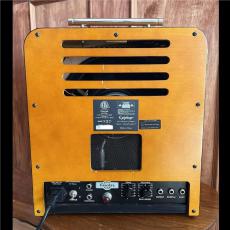 Epiphone Limited Edition 75th Anniversary Inspired by 1939 Century Amplifier_3
