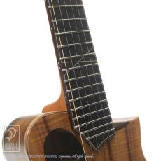 TODA Guitars P-Alien (Piccolo Guitar)_9
