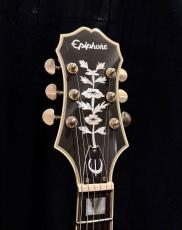 Epiphone SHERATON II VS_3