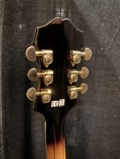 Epiphone SHERATON II VS_6