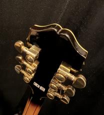 Epiphone SHERATON II VS_7