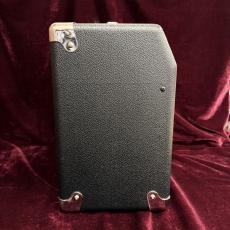 Fender Frontman 15G_4