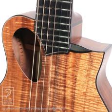 TODA Guitars P-Alien (Piccolo Guitar)【サウンドメッセin大阪 2026出展作品】_11